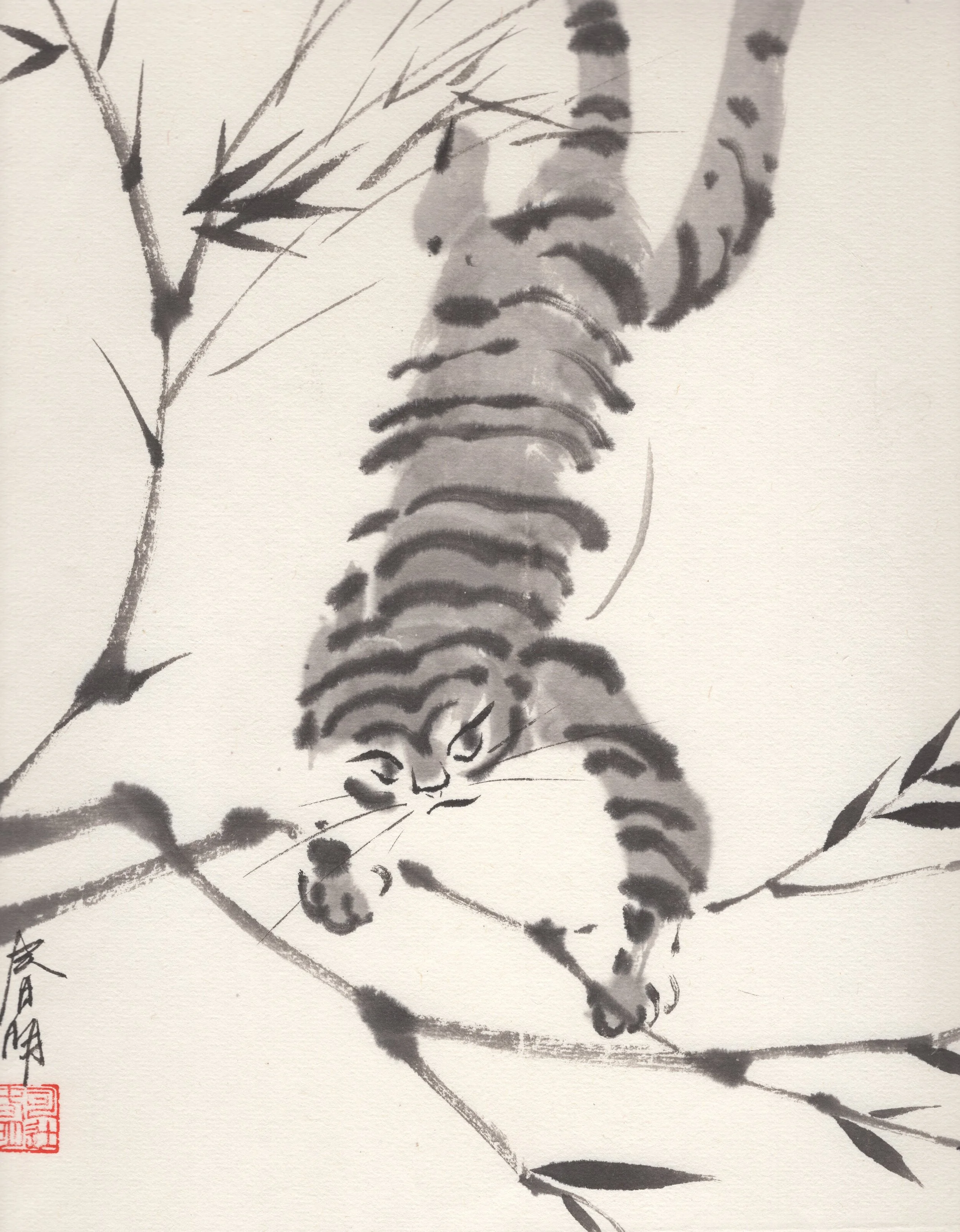 tigar+crop.jpg?format=1000w